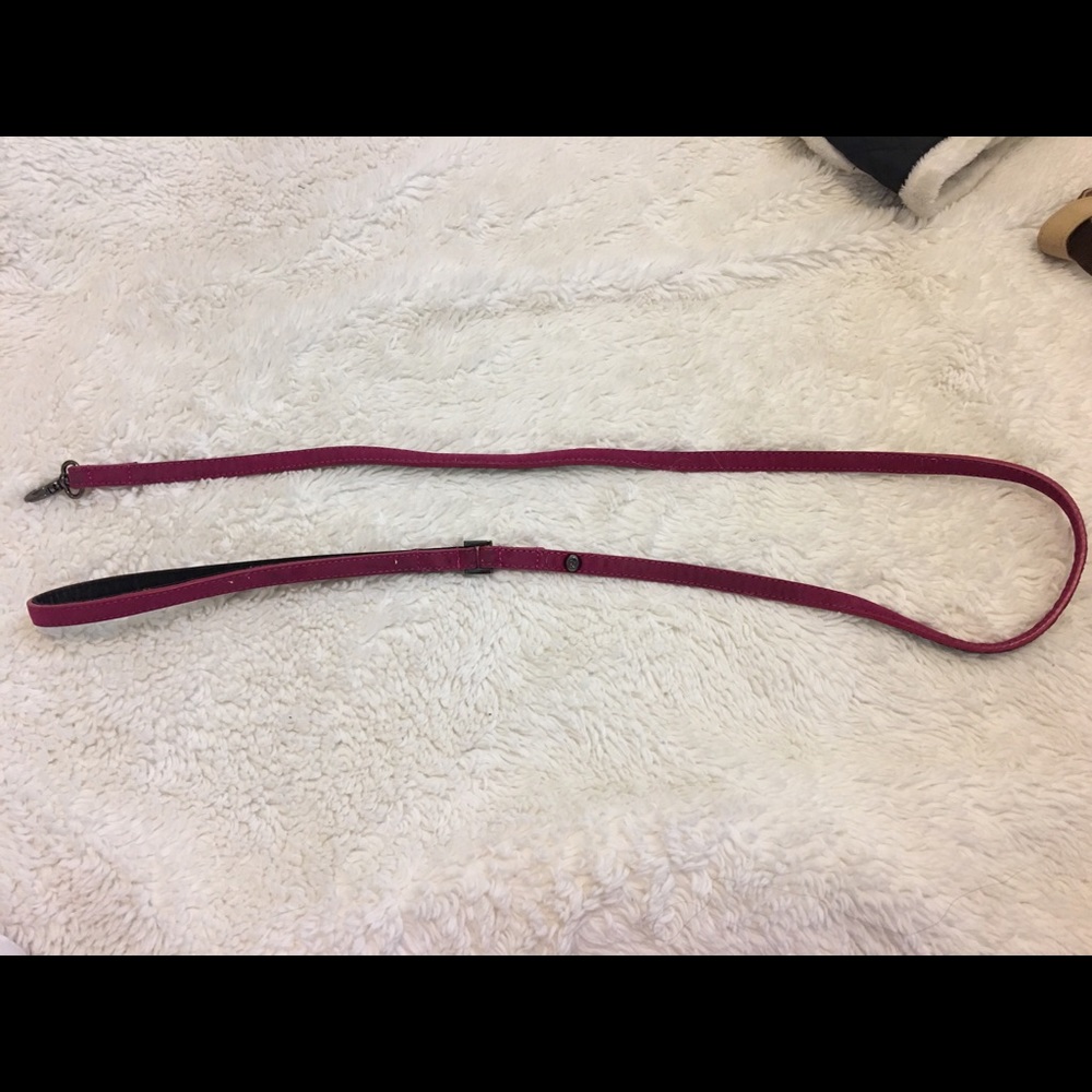 Pink suede Rock n Republic dog leash